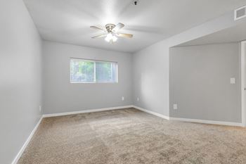 Ceiling fan
